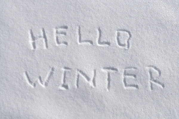 Hallo Winter. — Stockfoto