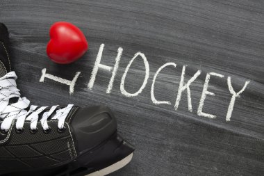 love hockey