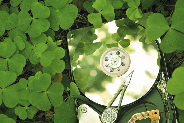 Hdd in grass — Stock Photo, Image