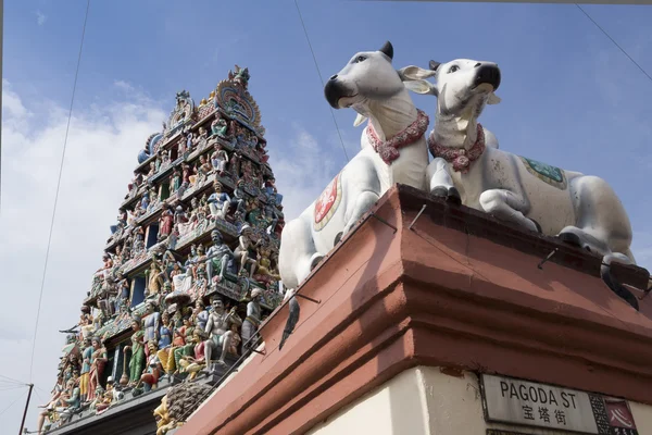 Świątyni hinduskiej, Singapur — Zdjęcie stockowe