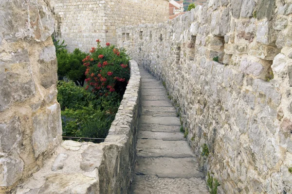 eski şehir Budva, Karadağ