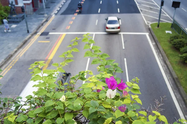 Singapour est une ville verte — Photo