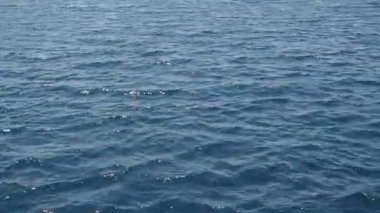 mavi deniz suları temizlemek
