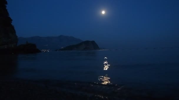 달빛 바다 경치 — 비디오