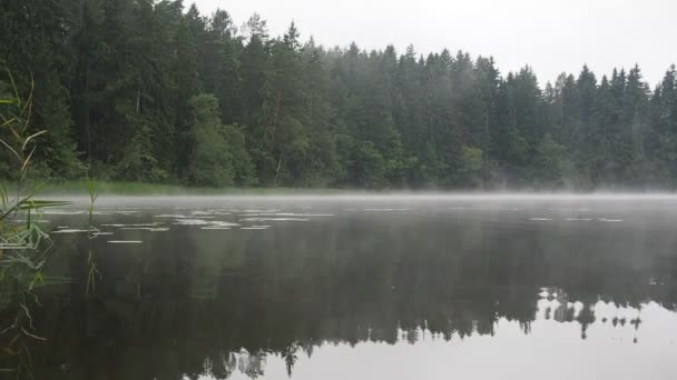 Foggy lac 