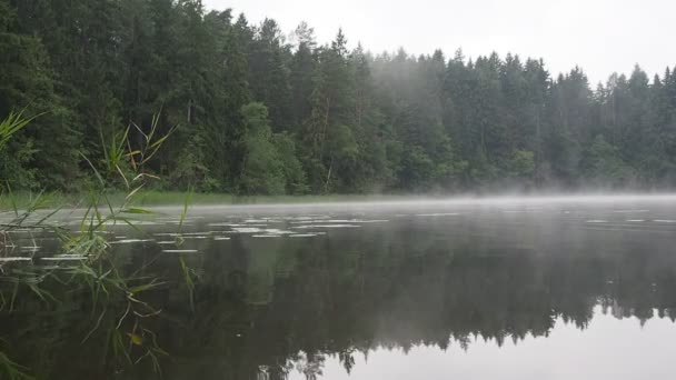 Foggy lac 
