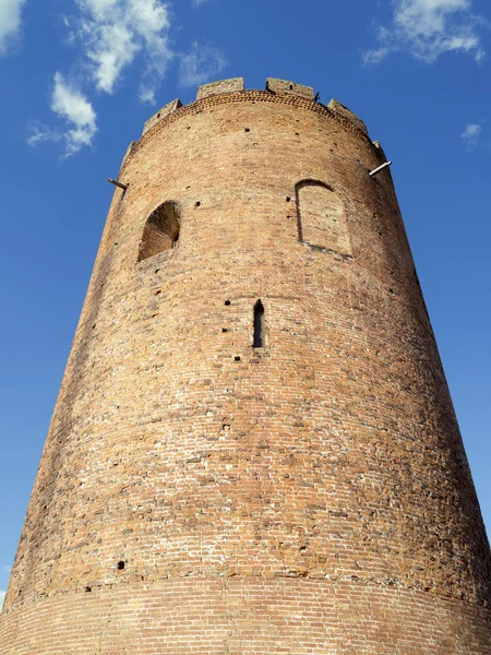 White Tower of Kamenets — Stock Photo, Image