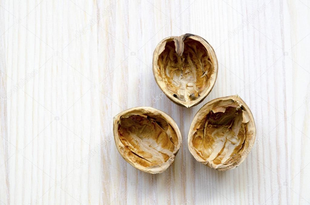 walnuts shell
