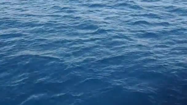 ターコイズブルーの海 — ストック動画