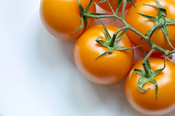 Tomates en blanco — Foto de Stock