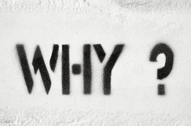 Neden soru