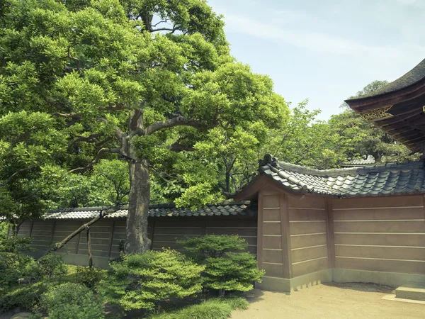 Japanese landscape — Stock Photo, Image