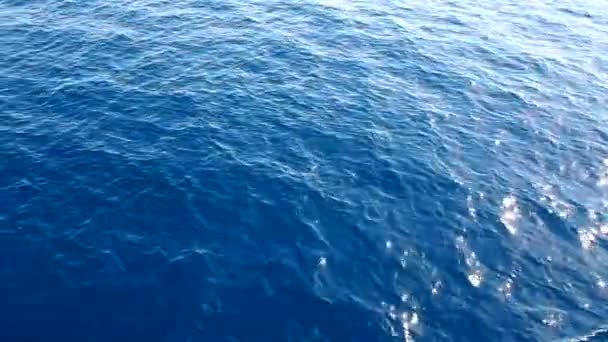 Olas de mar — Vídeo de stock