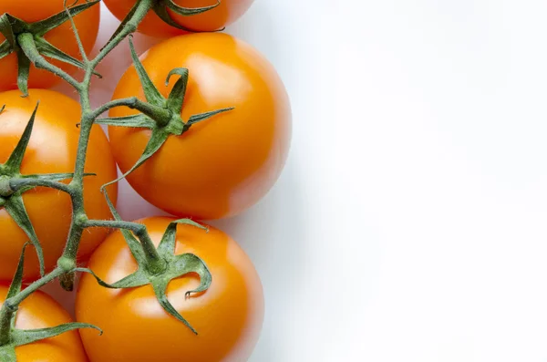 Tomates en blanco — Foto de Stock