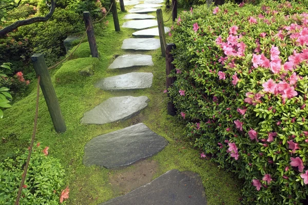 Zen pathway — Stock Photo, Image