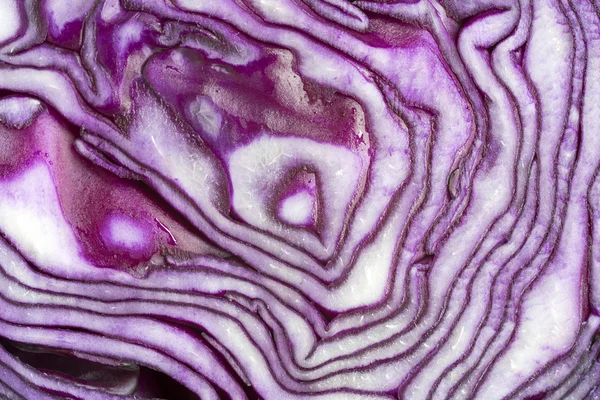 Red cabbage — Stock Photo, Image