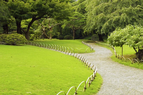 Summer park — Stock Photo, Image