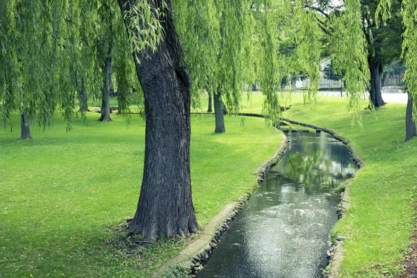 Zomer park — Stockfoto