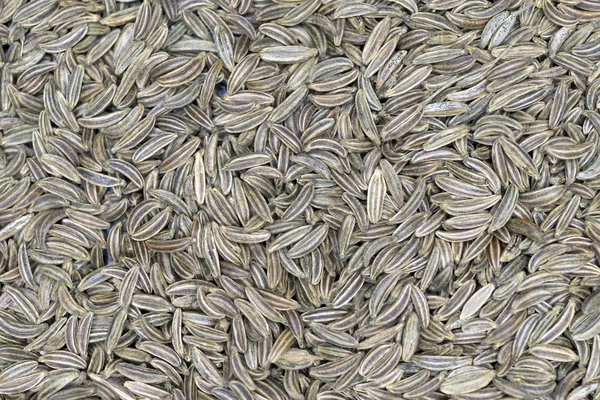 Cumin corns — Stock Photo, Image