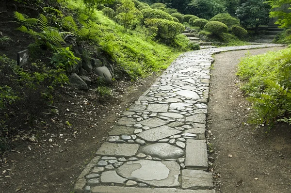 Stone pathway — Stock Photo, Image