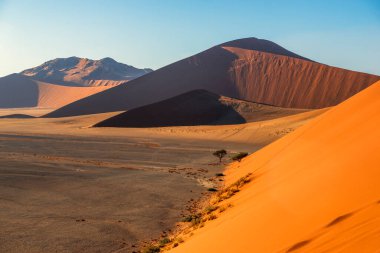 Sossusvlei, Namibya 'da güneşli bir sabahta kırmızı kum tepeleri