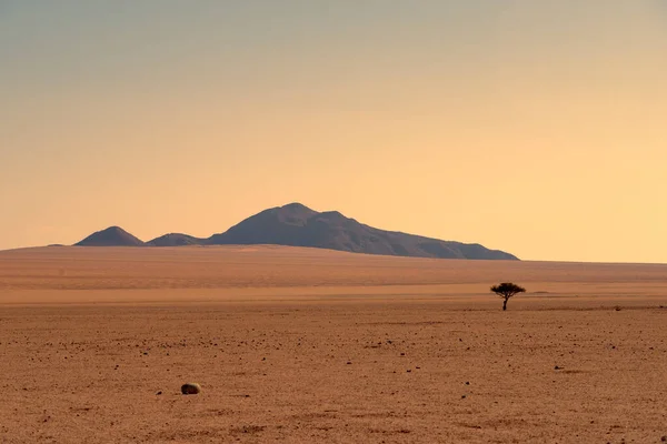 纳米比亚无边无际的沙漠景观 有孤独的树木和遥远的岩石 — 图库照片