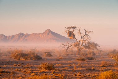 Namibya çölündeki manzaralı sabah manzarası