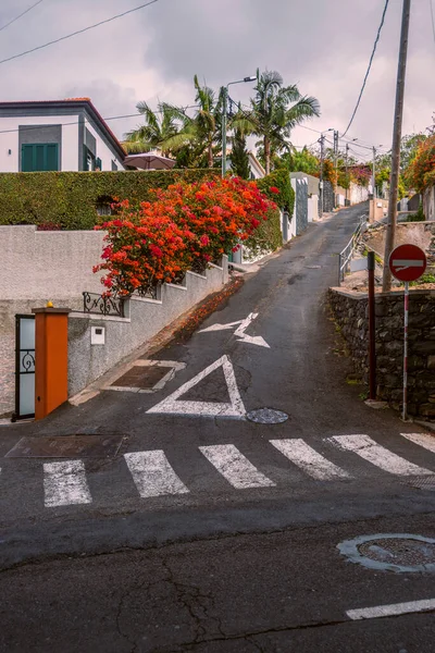 Meredek Üres Autós Utca Funchal Városban Nappal Stock Fotó