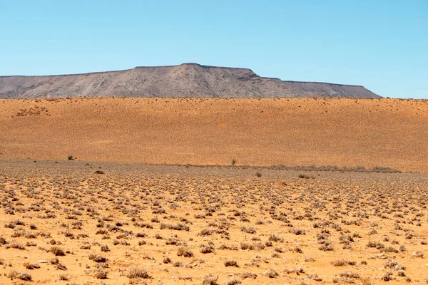 Helder Zonnig Woestijnlandschap Door Het Droge Seizoen Namibië — Stockfoto