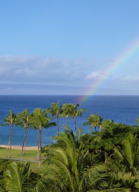 palmiye ağaçları ve beach maui Hawaii arching gökkuşağı