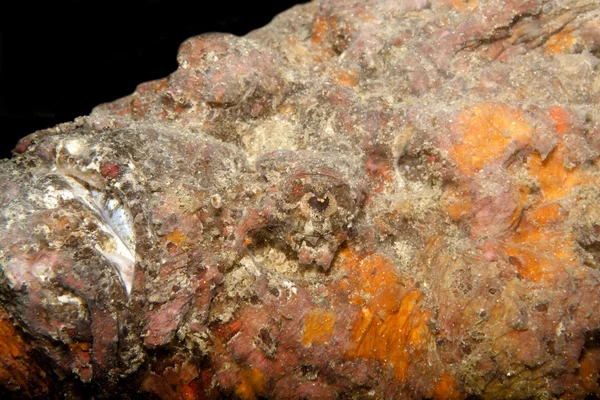 gözden kaçırmak kolay