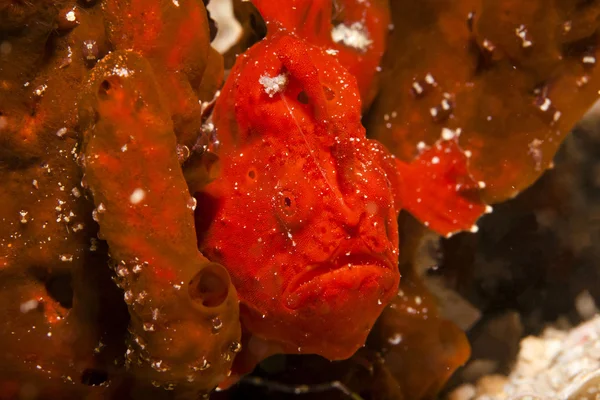 Sinsi sinsi dolaşırken