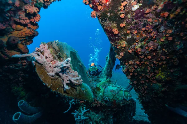 Die Schiffsschraube Der Hilma Hooker Mit Elke — Stock Photo, Image