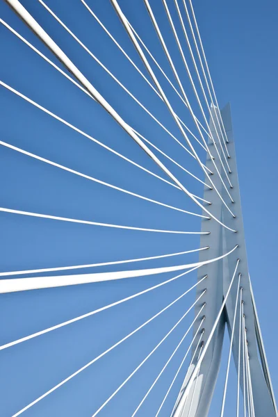 Detalles del Puente Erasmus — Foto de Stock