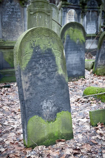 Jewish Cementary 3 — Stock Photo, Image