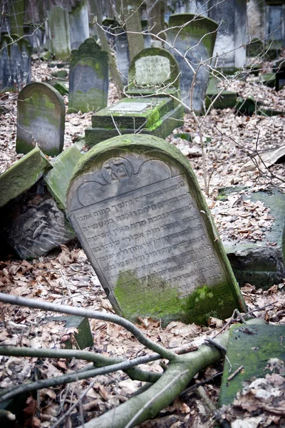 Joodse cementary 4 — Stockfoto