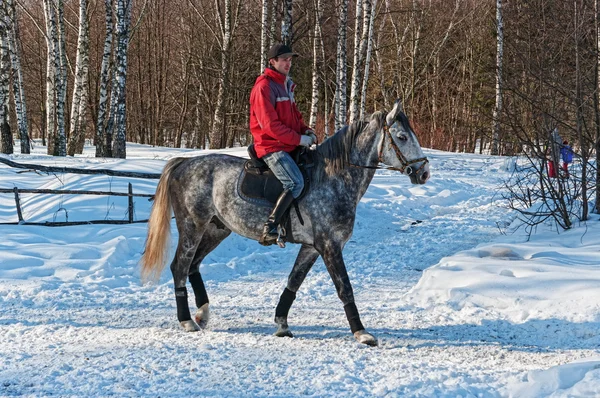 The equestrian on a gray horse. — Stock Photo, Image