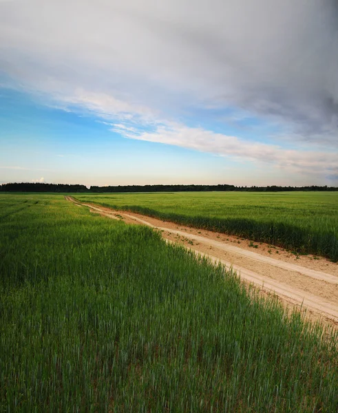Сільськогосподарська дорога через сільськогосподарське поле . — стокове фото