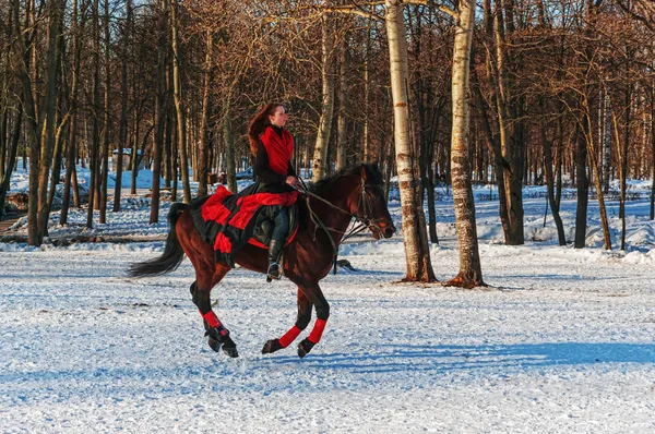 Mädchen-Jockey auf einem Pferd galoppiert auf der Winterwiese. — Stockfoto