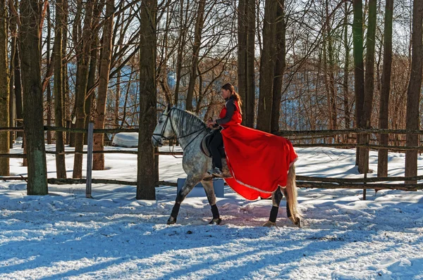 The girl in a red cape on a gray horse. — Stock Photo, Image