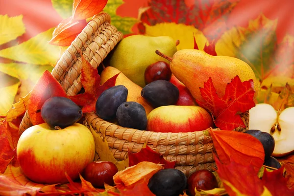 Korb mit Herbstfrüchten — Stockfoto
