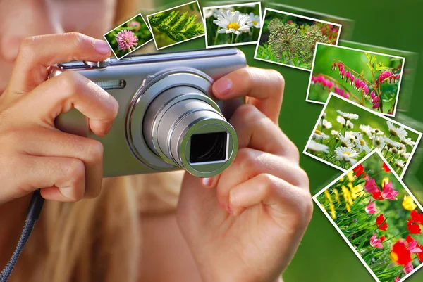 Concept of taking nature photos by digital camera — Stock Photo, Image