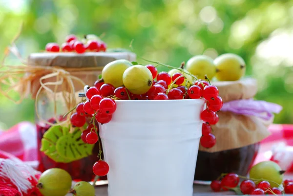 Summer fruit preserves — Stock Photo, Image