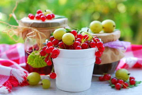 Sommerfruchtkonserven — Stockfoto