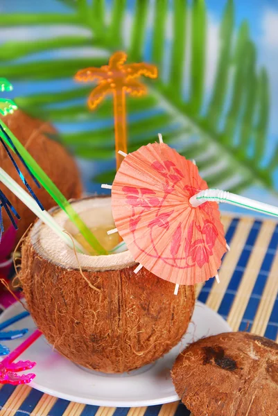 Bebida de verão em casca de coco — Fotografia de Stock