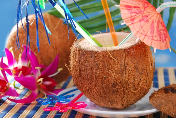 Bebida de verão em casca de coco — Fotografia de Stock