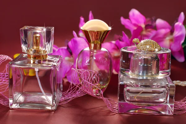 Perfume and pink orchids — Stock Photo, Image