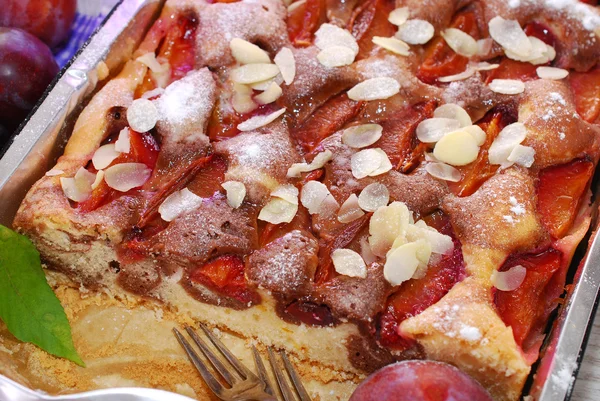 Marble cake with plums and almonds — Stock Photo, Image