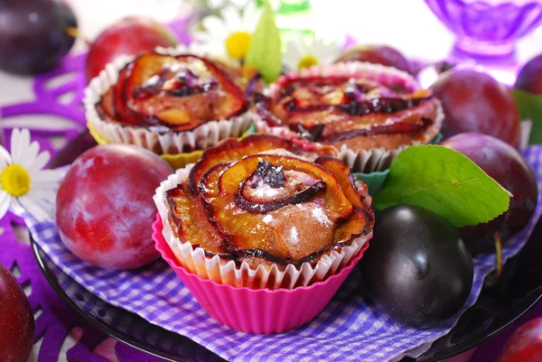 Muffins με δαμάσκηνα που κατατάσσονται σε ροδαλής μορφής — Φωτογραφία Αρχείου