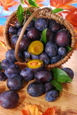 Taze erikler sepette